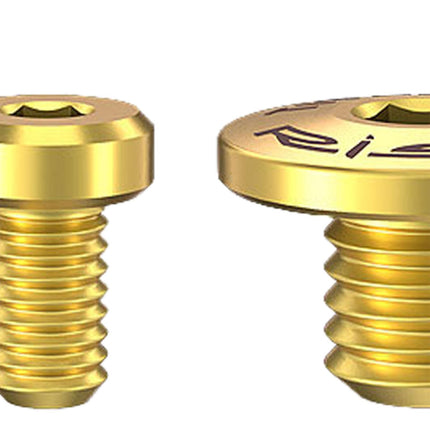 4Pcs Bicycle Brake Lever Screws Set Road Bike Bike Oil Cylinder Cover Screws Gold